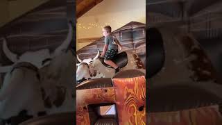 Boy Rides a BULL with hilarious reaction [upl. by Shlomo]