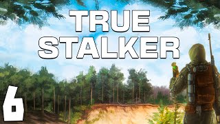 STALKER True Stalker 6 Свалка [upl. by Htenaj]