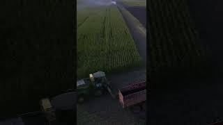 Corn Silage Chopping Techniques Enhanced [upl. by Imotih]