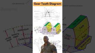 Gear Tooth Diagram ⚙️🦷 gear mechanicalengineering mechanical [upl. by Kassia367]