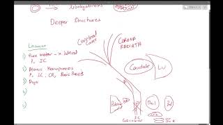 3 Lacunar Strokes [upl. by Fezoj]