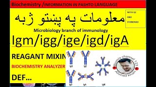 Immunoglobulin iggigm igAigeigD in pashto [upl. by Chelsea]