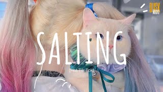 Salting remix cute  DJ Topeng  Dusk Music x Dangling Video Lyrics Tik Tok Song [upl. by Selohcin]