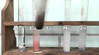 Reactivity of Metals Lab video [upl. by Annaid]