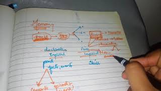 MEMORY formationclassifiation and other extremely important details [upl. by Ainolloppa280]