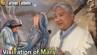 3 Important Reasons in the Visitation of MARY to Elizabeth [upl. by Chilton]