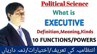 WHAT IS EXECUTIVE DefinitionMeaningkindsWhat are FunctionsPowers of Executive The Peak Seekers [upl. by Lessirg]