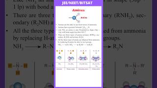 Introduction of Amines primary Secondary and Tertiary amines  JEE  NEET  BITSAT [upl. by Amos]