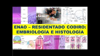 ENAO  RESIDENTADO ODONTOLÓGICO quotEMBRIOLOGÍA E HISTOLOGÍA ORALquot [upl. by Sirois]