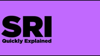 Socially Responsible Investing Quickly Explained [upl. by Rosabel]