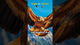 Sky Duel 🦅⚡ Eagle vs Falcon – Who Rules the Skies [upl. by Boru]