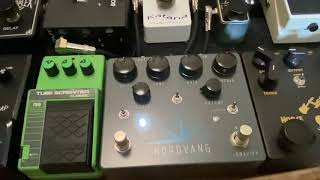 Nordvang Gravity vs MIJ Ibanez TS10 John Mayer Gravity first solo Improvised [upl. by Nitreb]