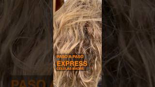 🧡Alisado Células Madre Liss Expert 🧡 [upl. by Rodrique334]