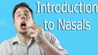 Introduction to Nasal Sounds  Like A Native Speaker [upl. by Dranoc]