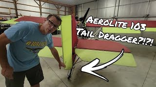 Aerolite 103 Tail Dragger Stick Conversion Walk Around [upl. by Neiht]