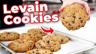 How To Make The Famous Levain Chocolate Chip Cookies [upl. by Redliw]