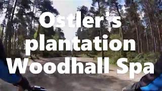 MTB Ostlers plantation Woodhall Spa [upl. by Canty508]