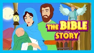 The Bible Story  Stories of Jesus  Bible and Other Story Collection For Kids [upl. by Hertberg]