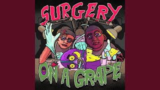 Surgery on a Grape [upl. by Eceinart]