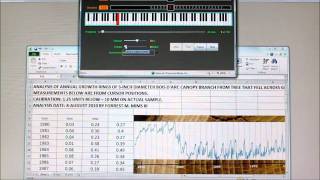 Converting Tree Rings into Music [upl. by Tye]