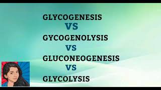 Glycolysis vs gluconeogenesis vs glycogenolysis vs glycogenesis tamil explanation [upl. by Erv]