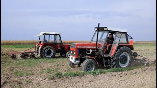 Orka pod pszenice Zetor 5211 i Ursus 385 Turbo [upl. by Barbur]