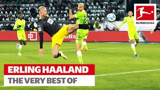 Erling Haaland  The Best Skills amp Goals [upl. by Ahsitruc]