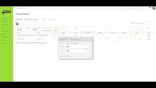 Mavenlink tool timesheets [upl. by Adidnere648]