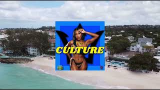 Dria  Culture Official Lyric Video [upl. by Aihsemak]