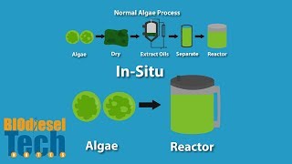 Biodiesel Production Methods [upl. by Hagile]