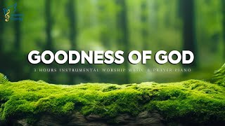 Goodness of God 3 Hour Prayer amp Meditation Music amp Scriptures  Anointed Worship [upl. by Allana]