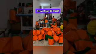 Grow Bags की सच्चाई  Grow Bag [upl. by Bledsoe634]