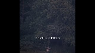 Dub Techno Mix 1  Depth of Field [upl. by Leveridge822]