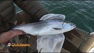 How to Fish for Kokanee at Strawberry Reservoir [upl. by Kammerer]