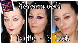 NORVINA vol1  1 Palette  3 looks [upl. by Eirelam]