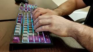 Realforce RGB Stock with Leopold FC900R keycaps typing [upl. by Hudson]