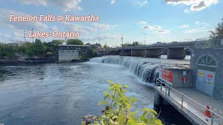 Fenelon Falls Kawartha [upl. by Samaj]