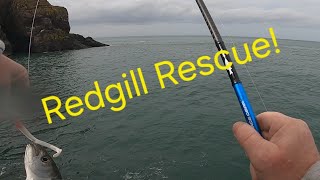 Rescued by a Redgill First lure sesh this year [upl. by Moyna]