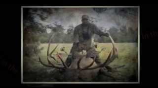 2013 Bull Elk Calendar with hunter Tim Stevens [upl. by Ecnedac]