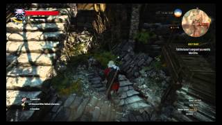 Troll Decoction Location Witcher 3 Wild Hunt [upl. by Siednarb]