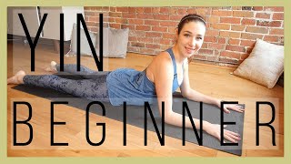 45 min Beginner Yin Yoga  Full Body Stretch Episode 366 [upl. by Esimorp]