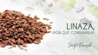 Linaza Un Super Alimento para la Hipertensión – Beneficios y Formas de Consumo [upl. by Ahtamas]