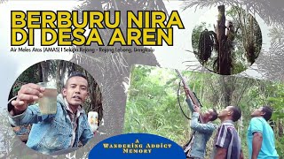 BERBURU LEGEN DI DESA AREN  Air Meles Atas Curup Bengkulu I Fabulous Rejang Lebong [upl. by Sylas]