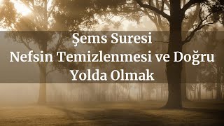 Şems Suresi  Nefsin Temizlenmesi ve Doğru Yolda Olmak [upl. by Nosmoht588]