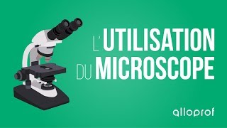 Lutilisation du microscope  Sciences  Alloprof [upl. by Akcinehs]