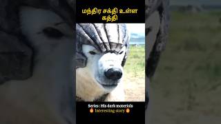 Worlds most powerful knife  மந்திர சக்தி உள்ள கத்தி  Infogle [upl. by Dnallor]