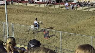 2024 RACINE COUNTY FAIR WOMENS BARREL RACING [upl. by Olaznog777]