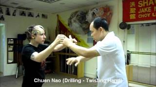 Choy Lee Fut  Basic Hand Techniques [upl. by Yaras189]