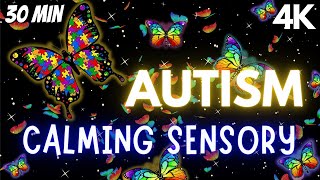 Autism Calming Sensory Music Tension Release Butterfly Visuals [upl. by Mayhew989]