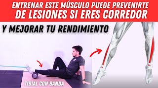 Este ejercicio evitará LESIONES en tu pierna y MEJORARÁ tu Carrera 🏃🏻‍♂️🔥 Tibiales con Banda [upl. by Corbie]